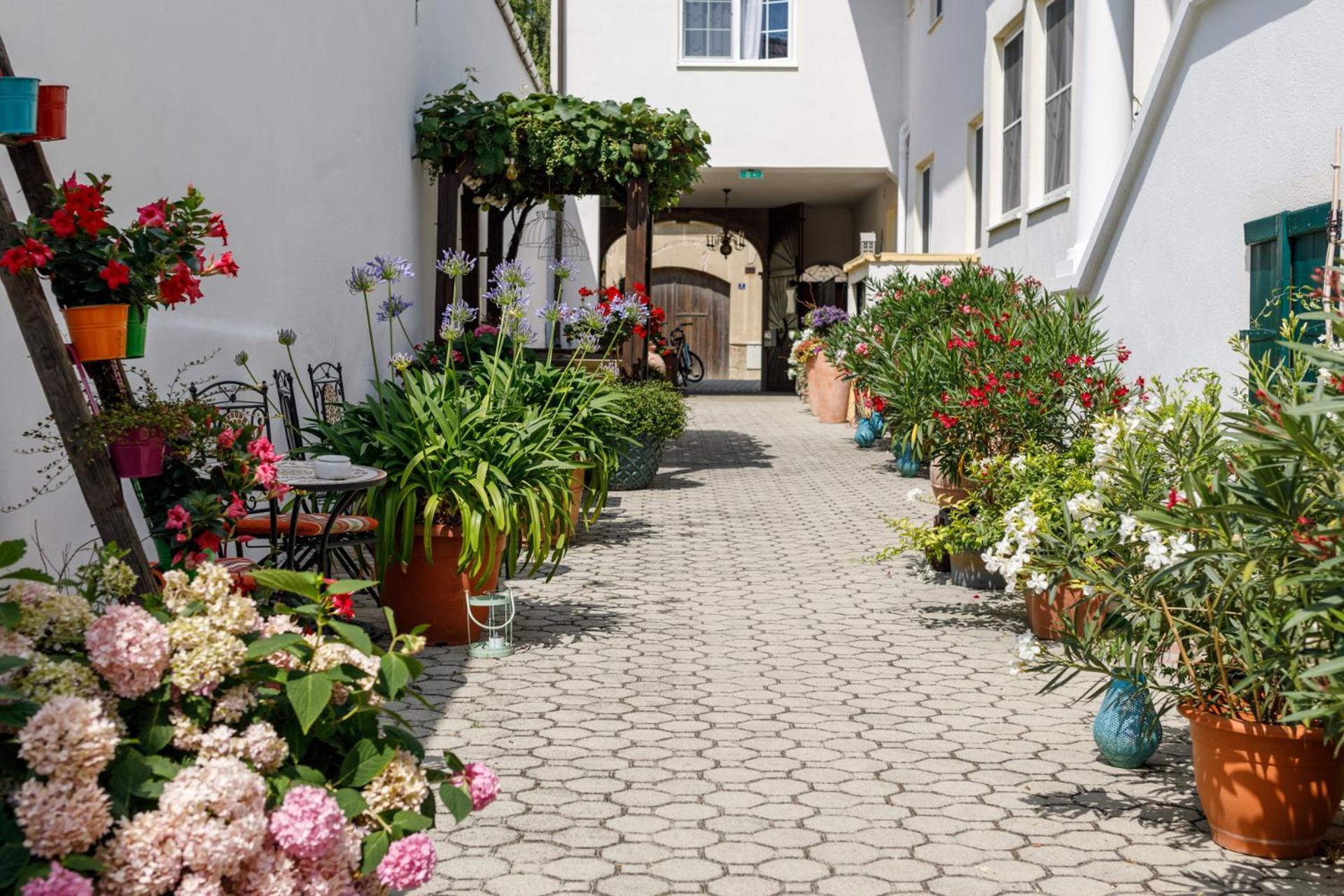Pension Laubenhof Fertőmeggyes Kültér fotó