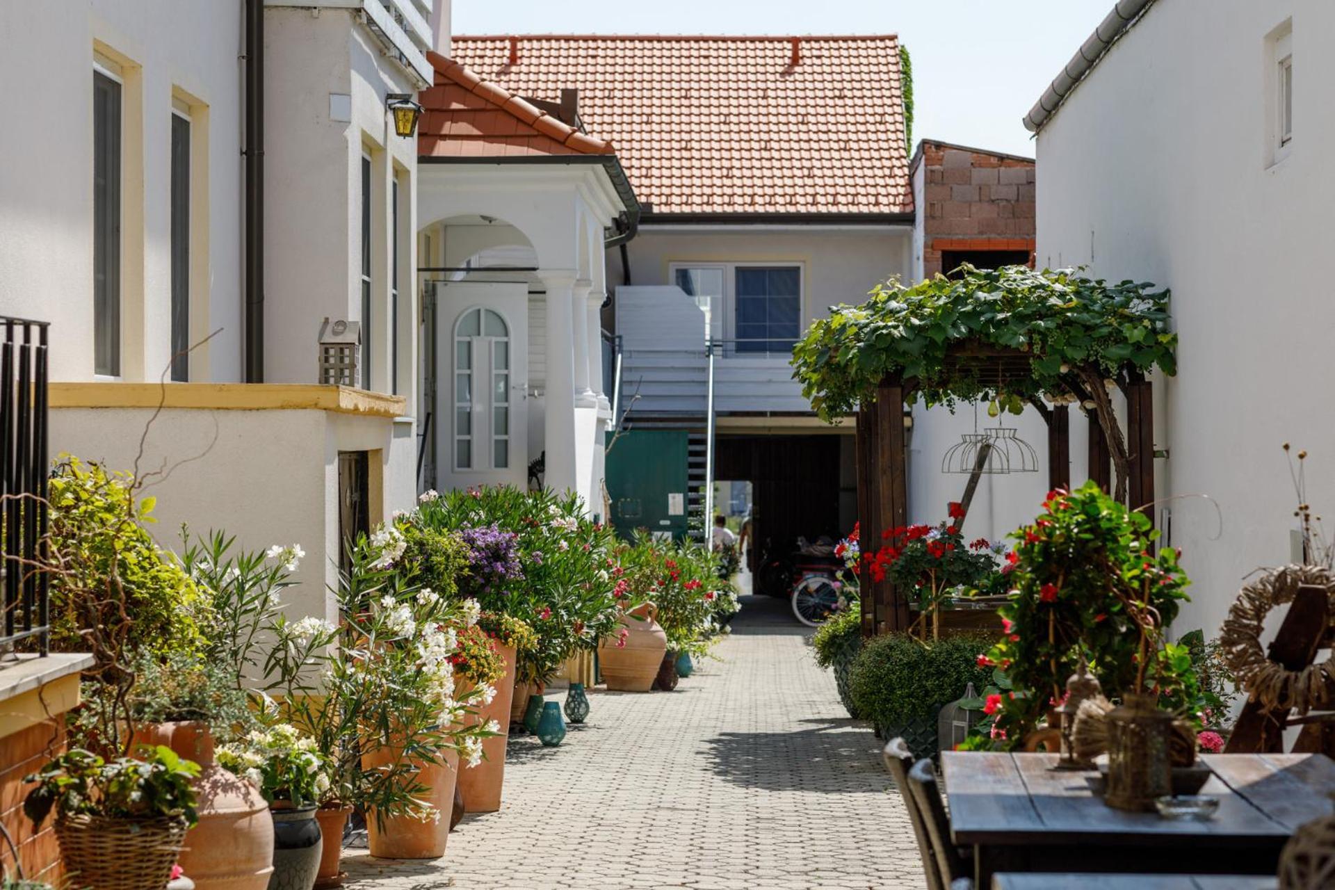 Pension Laubenhof Fertőmeggyes Kültér fotó